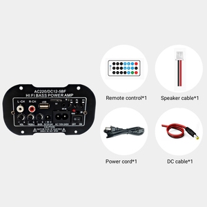5BF для автомобильных и домашних аудиоусилителей, плата усилителя 5.0, DC12V-24V, AC110-240V, моно выход 20 Вт с USB, TF, пультом ДУ и FM-радио - Product Image 5