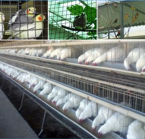 PVC GALVANIZED IRON <strong>WIRE</strong> <strong>MESH</strong> PET CAGE STOCK GALVANIZED <strong>CHICKEN</strong> COOP - Product Image 2