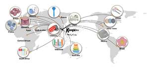 Cuchara y tenedor de titanio puro personalizado para Hpusehold Camping, juego de cuchara portátil fácil de limpiar, accesorios de <span class=keywords><strong>cocina</strong></span> - Product Image 6