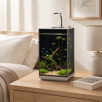 Nano aquarium en verre à faible teneur en fer 91% clarté, aquarium de bureau personnalisé en gros avec filtre de fond dissimulé et éclairage pour plantes