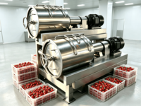 Turnkey fruitjam productielijn complete verwerkingsinstallatie voor aardbeien-, mango- en bosbessenjam met tube-in-tube UHT-sterilisator