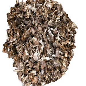 Lyophyllum Decastes, Hongo Silvestre Comestible Puro y Seco, de Bozhou, China, para la Preparación de Pollo Frito, en Venta - Product Image 1