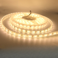 Bande flexible étanche IP68 SMD 2835 24V 60 LED, lumière décorative 12V pour piscines, yachts et navires de croisière