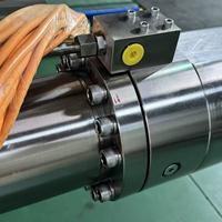 Cilindro Hidráulico de Doble Acción de Acero Inoxidable XSL 304/316, Cromado Duro, Personalizable en Diámetro de Cilindro/Recorrido, para Uso Alimentario/Marítimo