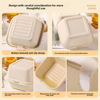 Boîte à mini-gâteaux et burgers surélevée en bagasse de canne à sucre, conteneur alimentaire compostable, boîte à clapet 100% biodégradable
