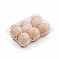 Barquette à œufs thermoformée de qualité alimentaire pour élevage avicole, emballage logistique antichoc en gros, boîte personnalisée