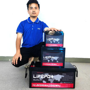 3kW 하이브리드 태양열 가정 에너지 저장 5kW 바티리아 리튬 LiFePO4 배터리 12V 24V 48V 100Ah 200Ah 300Ah <span class=keywords><strong>5</strong></span>.12kWh - Product Image 3