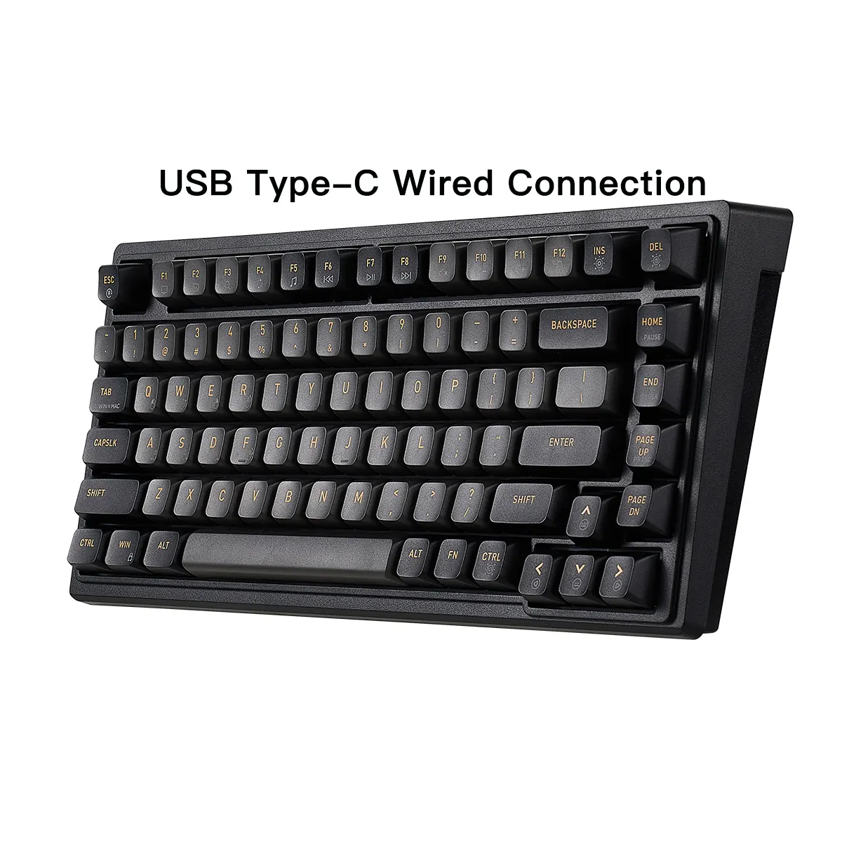 Clavier M2 personnalisé 75% 83 touches joint USB filaire rouge bleu interrupteur échange à chaud RGB LED plastique clavier de jeu mécanique pour ordinateur de bureau