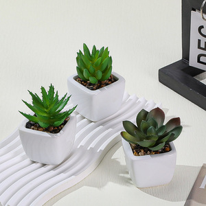 Plantas Suculentas Artificiales de PVC de Alta Calidad, Realistas, Duraderas y Ecológicas, en Maceta Cuadrada Pequeña, para Decoración Interior y Exterior del Hogar - Product Image 4