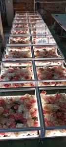 Свадебные товары фон для декорации цветов прозрачное стекло сценическая платформа белый свет цветок СВЕТОДИОДНЫЙ танцпол - Product Image 4