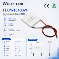Éléments TEC à large plage de température TEC1-16103 40x40x4.2 mm 19.52 V 3.9 A pour le contrôle de la température des caméras automobiles