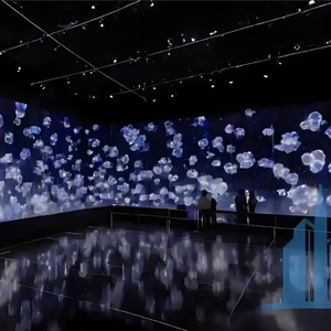 Interactive 360 <strong>3D</strong> Immersive Projection Tunnel System Outdoor Metal Wall/Floor <strong>Projector</strong> for Advertising Equipment Hot - Product Image 6