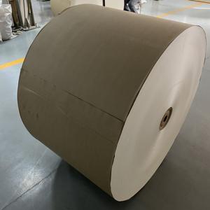 Fábrica de Materiales para Vasos de Papel Desechables Produce Rollos de Papel Recubierto de PE - Product Image 5