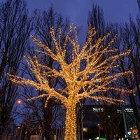 Grande boîte cadeau de noël à led,, ours polaire, parapluie, renne, aile, décoration, motif lumineux pour la rue