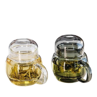 Théière en verre, nouveau style mini, verre borosilicate de haute qualité, infuseur portable, bouilloire à thé, capacité de 325 ml, pour les fêtes