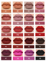 Nouveau design OEM Make up Waterproof Private Label Brillant à lèvres mat Rouge à lèvres liquide