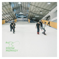 Estera de pendiente seca para deportes de nieve para interiores y exteriores, azulejos de esquí, estera de esquí artificial, piso, pista de esquí seca