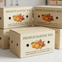 Op maat gemaakte Pp holle gevouwen fruitdoos van golfkarton voor sinaasappels, appels, kiwi's, drakenvruchten en groenteverpakkingen