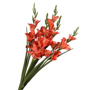 Nouvel arrivage de fleurs artificielles de glaïeul en soie rose à longue tige pour la <span class=keywords><strong>d</strong></span>écoration <span class=keywords><strong>d</strong></span>'hôtel de mariage - Product Image 5