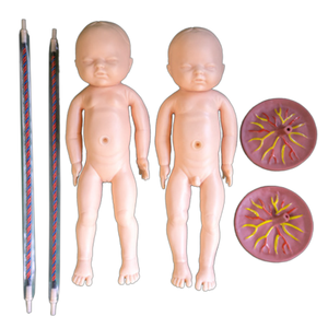 בובת אימון לידה מקיפה עם תינוקות להוראה רפואית - Product Image 4