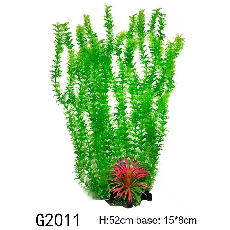 G2011