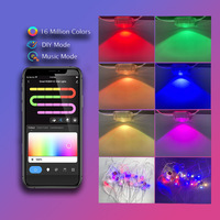 IP67 senar lampu atap LED 24V RGB, tali lampu atap tahan air dengan kontrol suara/aplikasi/Remote untuk lanskap luar ruangan pemasangan permanen