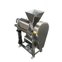 Industriële fruit- en groenteschroefpers voor drakenvrucht, wortel, kiwi, sinaasappel, bosbes, grote capaciteit, hoge efficiëntie, Chinees materiaal 1