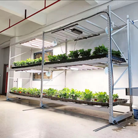 Étagères à 3 niveaux Banc roulant avec panneaux ABS Système hydroponique Serre Système de culture de micro-légumes Étagère de culture verticale