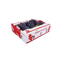 Boîte de stockage en polypropylène (PP) écologique, en plastique ondulé, pour la chaîne du froid, pour matériaux chimiques recyclés, épaisseur 3-5 mm