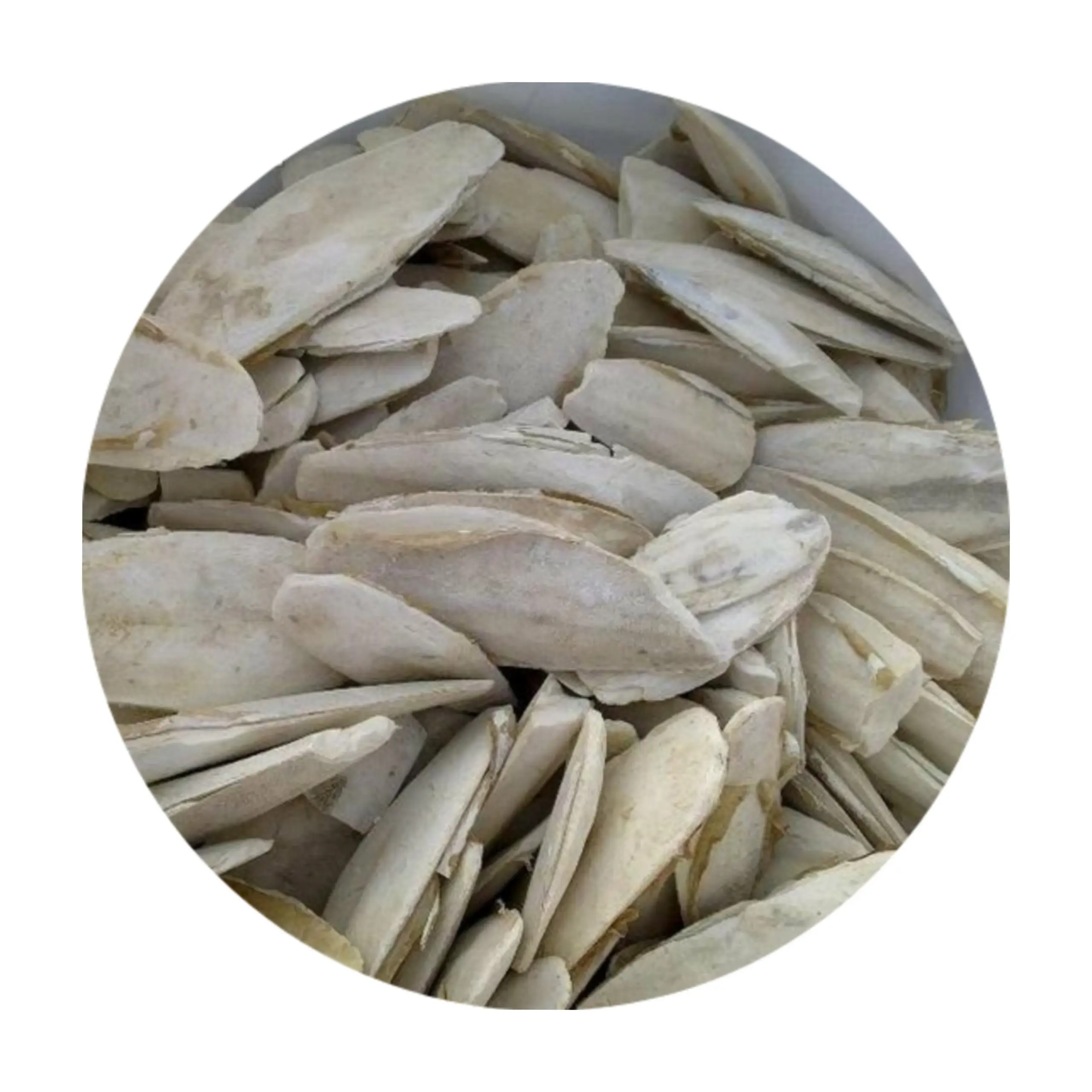 High Quality Special Price CuttleFish Bone From Vietnam