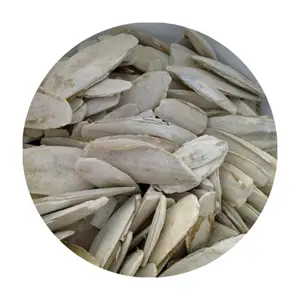 Harina de Hueso de Sepia de Alta Calidad, Precio Especial de Vietnam, Alimento Seco para Peces, Aves, Ganado, Cerdos, Mascotas, en Bolsa, Grado 24 Meses - Product Image 1