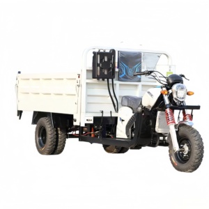 Triciclo de Gasolina de 1 kW de la Marca XF, Resistente, con 1 Año de Garantía, para Transporte Rural - Product Image 2