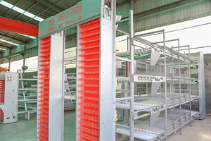 Diseño general del gallinero de puesta en una granja de pollos totalmente automatizada <span class=keywords><strong>y</strong></span> una agricultura de cría a gran escala - Product Image 2