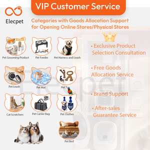 Elecpet 3L Smart Pet Wassersp ender mit kleiner Kapazität Gefilterte Wasser zirkulation Leicht zu tragen Leiser Schlaf ohne Lärm - Product Image 4