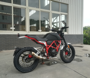 111732 chine motos bon marché pour la vente <span class=keywords><strong>moto</strong></span> FUEGO <span class=keywords><strong>scrambler</strong></span> 250 ville <span class=keywords><strong>moto</strong></span> rue <span class=keywords><strong>moto</strong></span> nouveau design <span class=keywords><strong>moto</strong></span> - Product Image 1