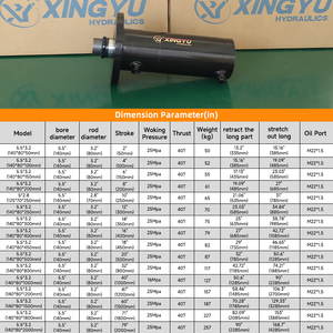 Cilindro Idraulico XingYu da 40 Tonnellate, Alesaggio 140mm, Diametro Asta 80mm, Corsa 50-2000mm, 25Mpa per Pressa Piegatrice - Product Image 6
