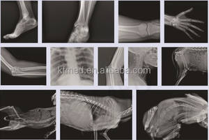 Macchina Radiografica Digitale Veterinaria Portatile, Apparecchiatura <span class=keywords><strong>DR</strong></span> a Raggi X, Nuovo Sistema Radiografico Portatile per Uso Umano - Product Image 3