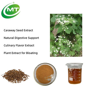 Caraway Seed Extract (Carum Carvi) - Extracto de Semilla de Comino Natural Premium, Carminativo y Antiespasmodico para la Salud Digestiva - Product Image 2