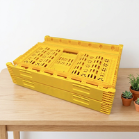 Vente directe d'usine, caisse en plastique pliable, présentoir pour magasin de détail, caisse à légumes empilable et pliable
