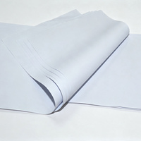 Rollo de Papel para Plotter CAD Blanco de 80 g/m² con Superficie Lisa y Homogénea