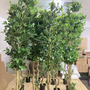 G25042306 Árbol de Limón Artificial de Hojas Verdes en Maceta, Decoración Moderna para Interiores, Decoración Artificial de Gran Tamaño, Barato, de Fábrica China, 120 cm - Product Image 1