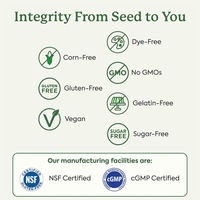 Gummies Super Greens Personnalisées OEM avec Probiotiques pour la Santé Intestinale et le Soutien Immunitaire, Supplément Super Alimentaire Antioxydant à base de Spiruline et Chlorelle