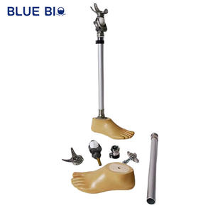 Geamputeerde Boven Knie Onder Kniegewricht Prothetische Ledematen Delen Kunstbeenkit Met Prothetische Voet - Product Image 4