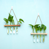 Nouveau style de terrarium suspendu en verre transparent à double étage pour la décoration intérieure, vases hydroponiques en verre et en cristal, vase mural en tube à essai