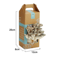 Boîtes d'emballage personnalisées en papier pour fruits et légumes frais Oyster Mushroom Grow