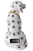 Haut-parleur sans fil, microphone filaire, caisson de basses, lecteur audio multifonctionnel de type carte pour chien dalmatien