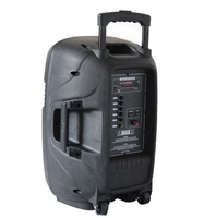2025 12 pouces échantillon gratuit disponible système de son HIFI professionnel 60W haut-parleurs de moniteur de scène active pour Home cinéma en plein air