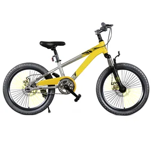 Wholesale OEM 20 inch kids mountain bike children bicycle kids bike disc brake MTB sport style for boy and girl teenager