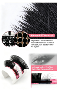 Extensions de cils volume Easy Fan DIY personnalisées, extensions de cils en velours noir mat, vente en gros, faux cils marque privée - Product Image 3