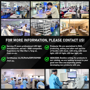 Prix d'usine – Feuille LED numérique SPI DC24V transparente pour <span class=keywords><strong>pierre</strong></span>, avec feuille LED RGB haute luminosité - Product Image 6